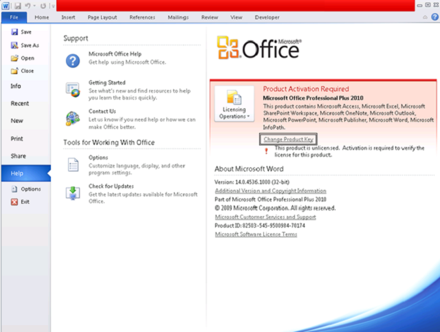 Microsoft Office 2010 Professional Plus full setup download