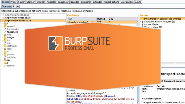 Burp Suite Professional full version free download